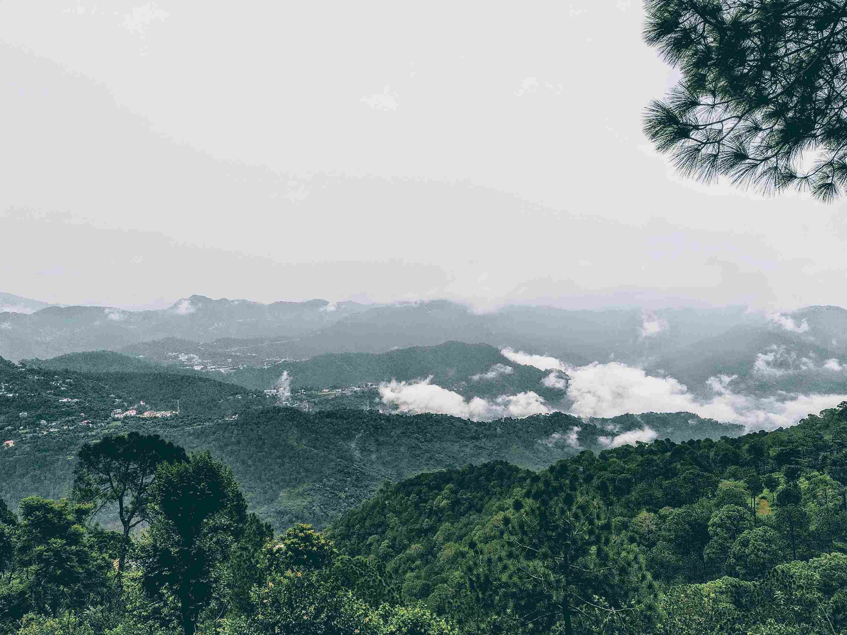 kasauli